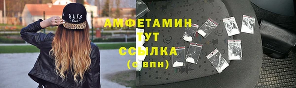 шишки Армянск