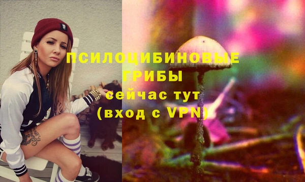 шишки Армянск