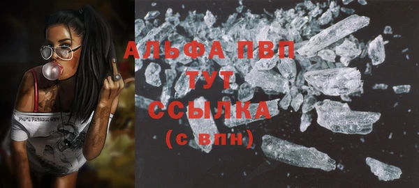 PSILOCYBIN Покров