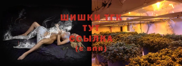 шишки Армянск
