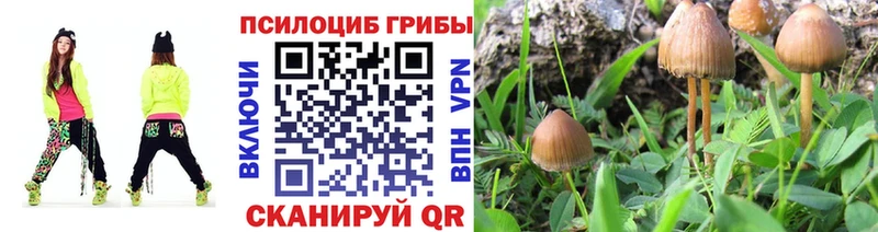 Галлюциногенные грибы мухоморы  Покровск 